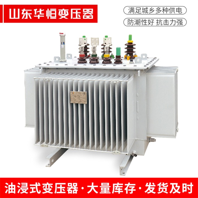 S13-10000/35隆尧隆尧隆尧电力变压器