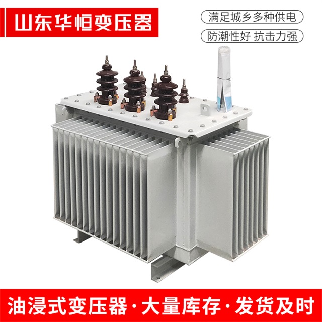 S13-10000/35隆尧隆尧隆尧油浸式变压器厂家